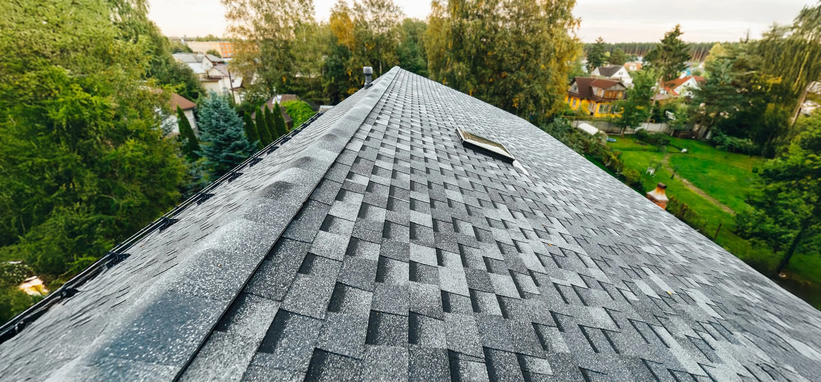 Portfolio banner image