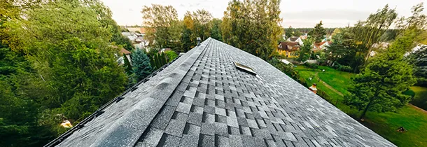 Roof Shingles